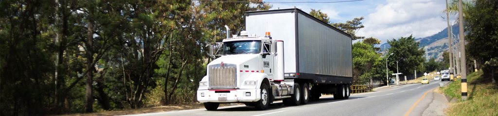 Camión blanco de carga circulando por una carretera arbolada en un entorno rural.