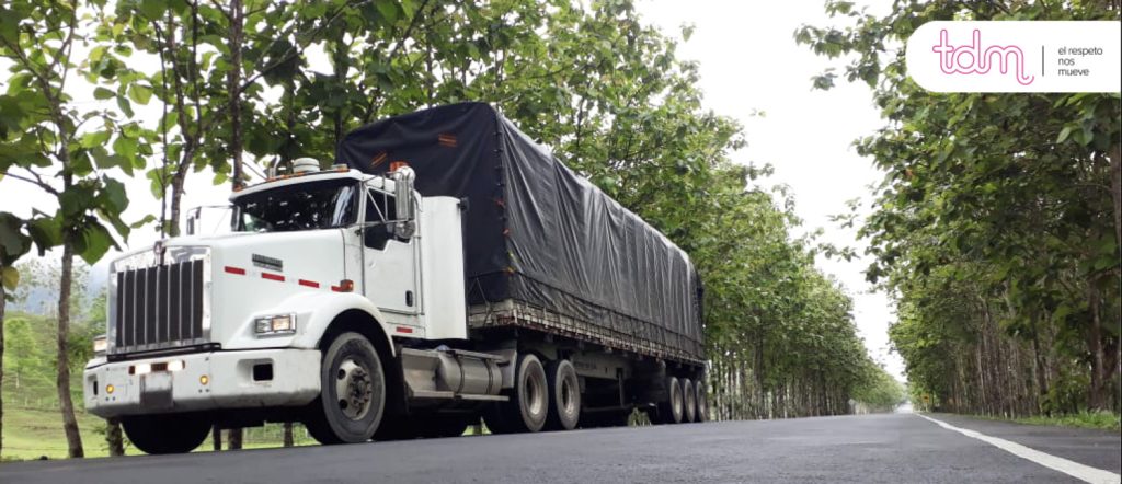 Camión blanco con remolque cubierto circula por una carretera rodeada de árboles.