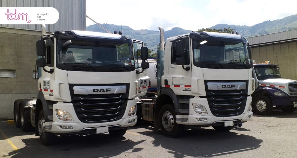 Dos camiones blancos DAF estacionados en un área industrial con montañas al fondo.