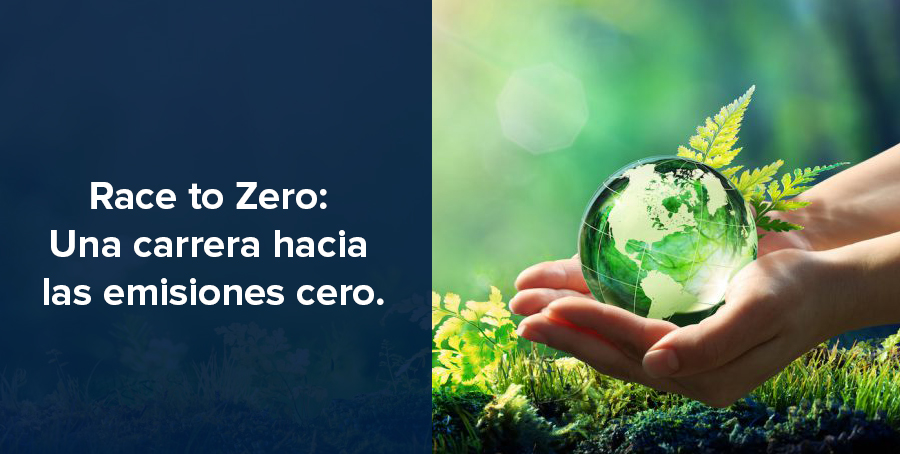 Una mano sostiene un globo terráqueo rodeado de hojas, junto al texto "Race to Zero: Una carrera hacia las emisiones cero".