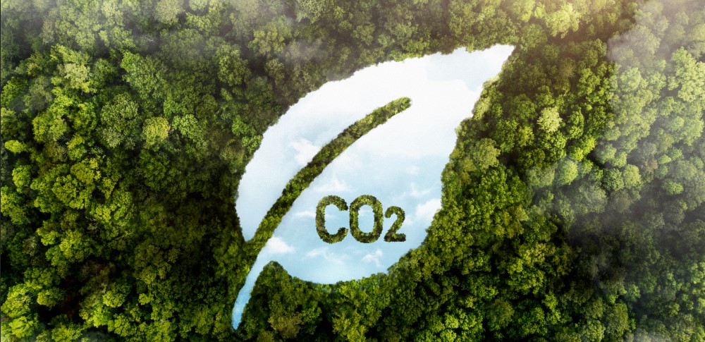 Vista aérea de un bosque con una hoja recortada que deja ver el cielo y el texto "CO2".