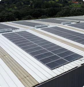 Paneles solares instalados en el techo de un edificio en una zona verde y arbolada.